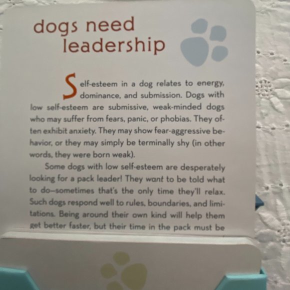 CESAR MILLAN - Picture 4 of 5